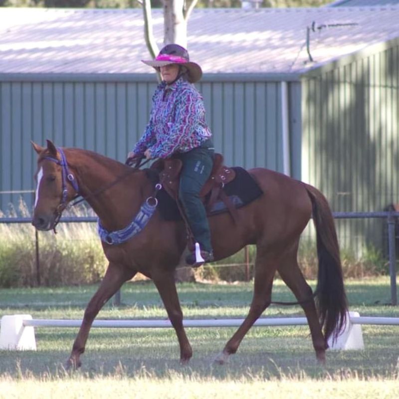 woman with a pink hat and wearing limited edition pants riding a brown horse