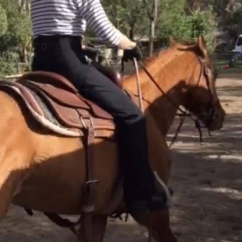 woman in equitation paired with stripes top