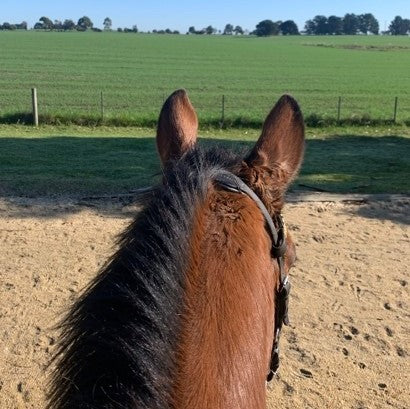 Deb Irving:  Part 2 - The First Ride