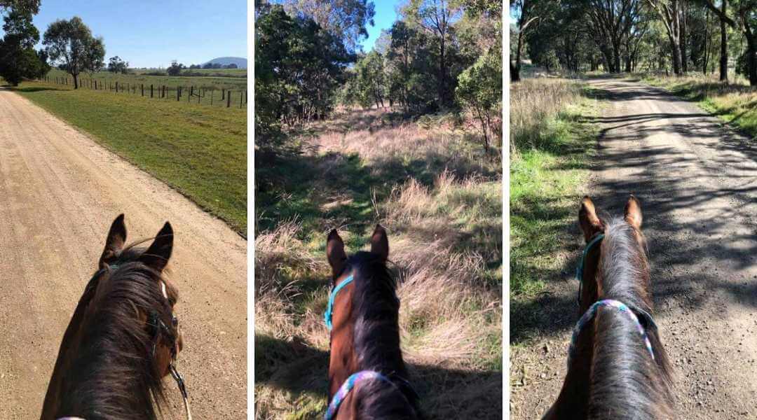 Penny Windlow's 159.485 Km in May