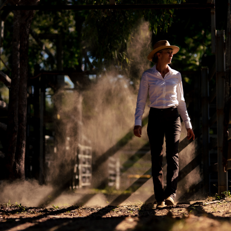 Equitation Horse Riding Pants Update