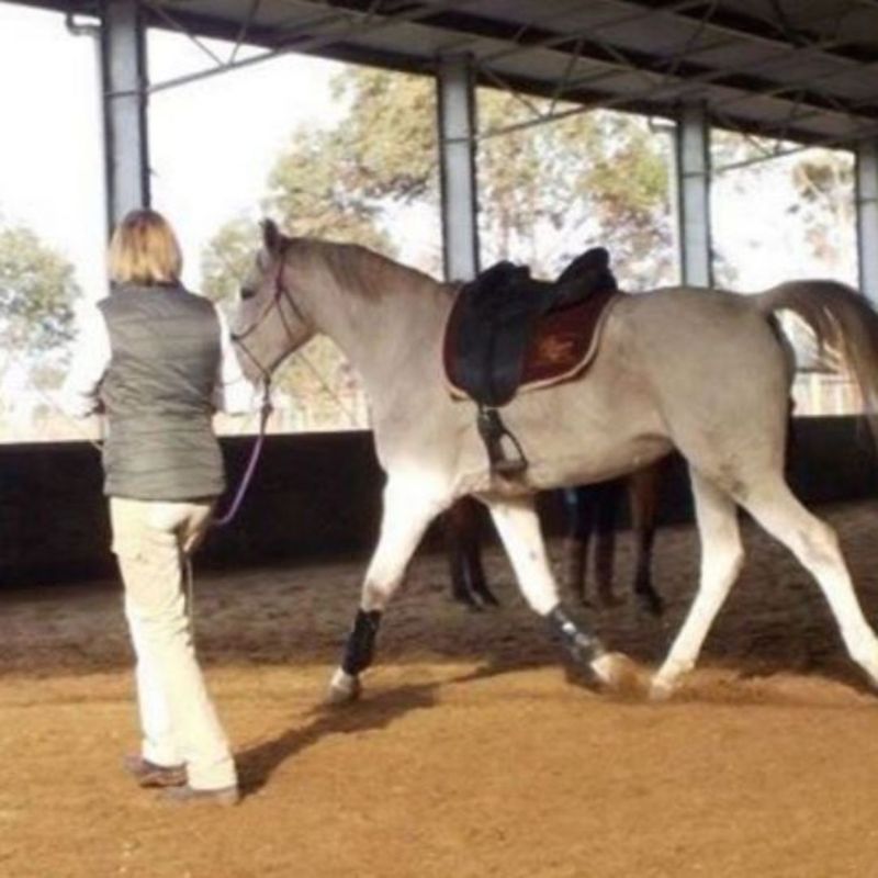 woman in ride proud trainers pants