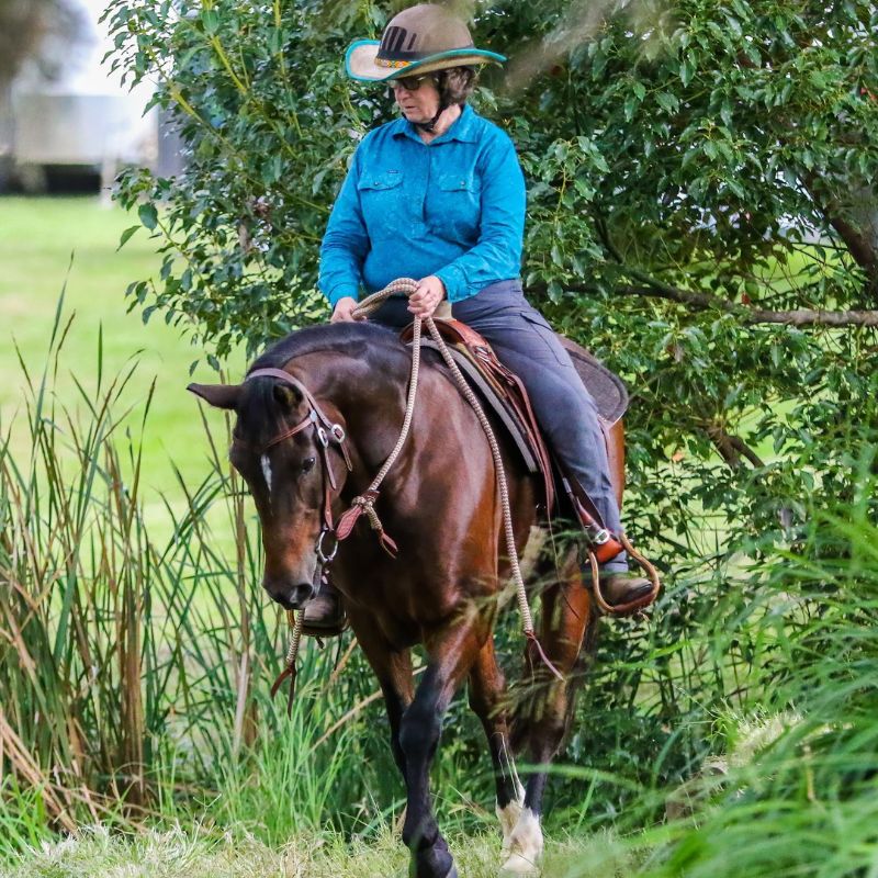 woman in blue top and trainer pants riding a brown horse