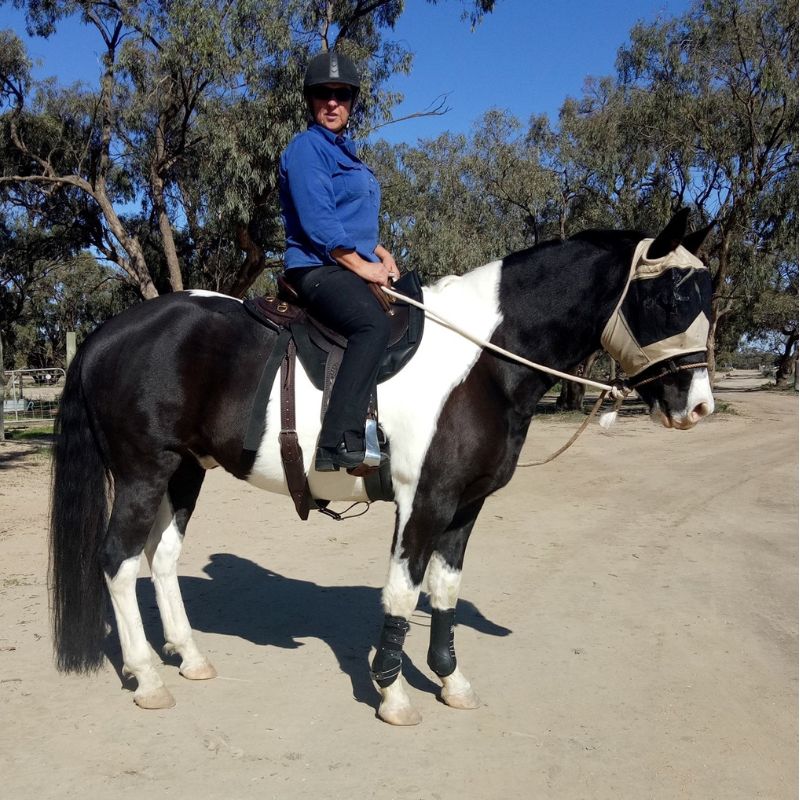 woman i blue riding a black and white horse