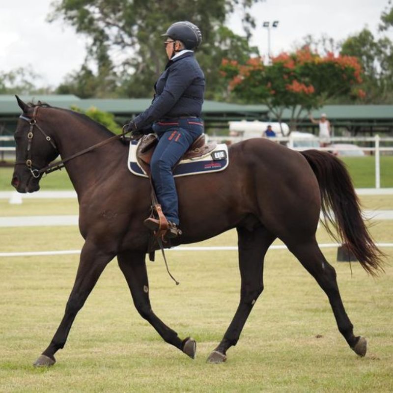 woman riding a horse wearing limited edition pants