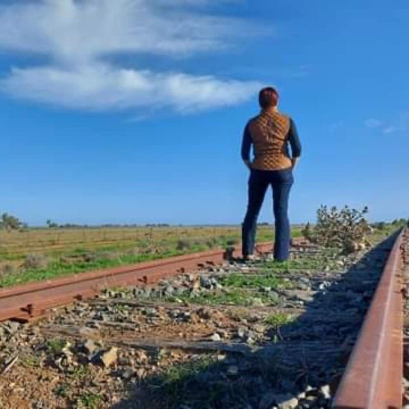 back view of a woman standing on a rail train