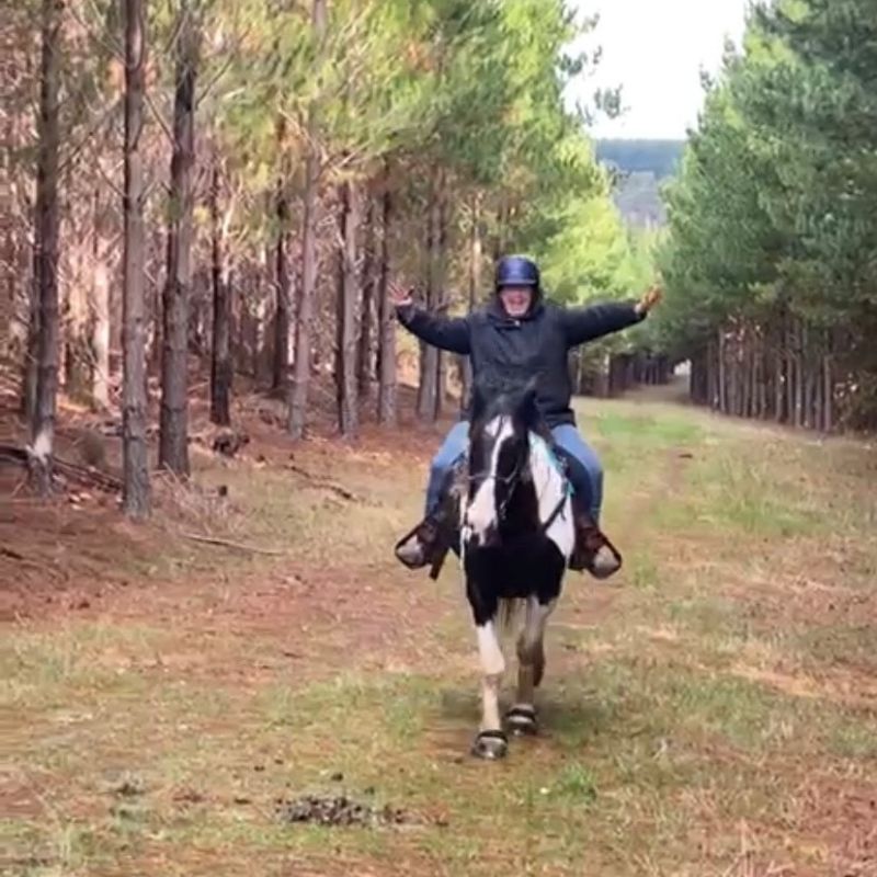 woman in ride proud horse riding horizon jeans