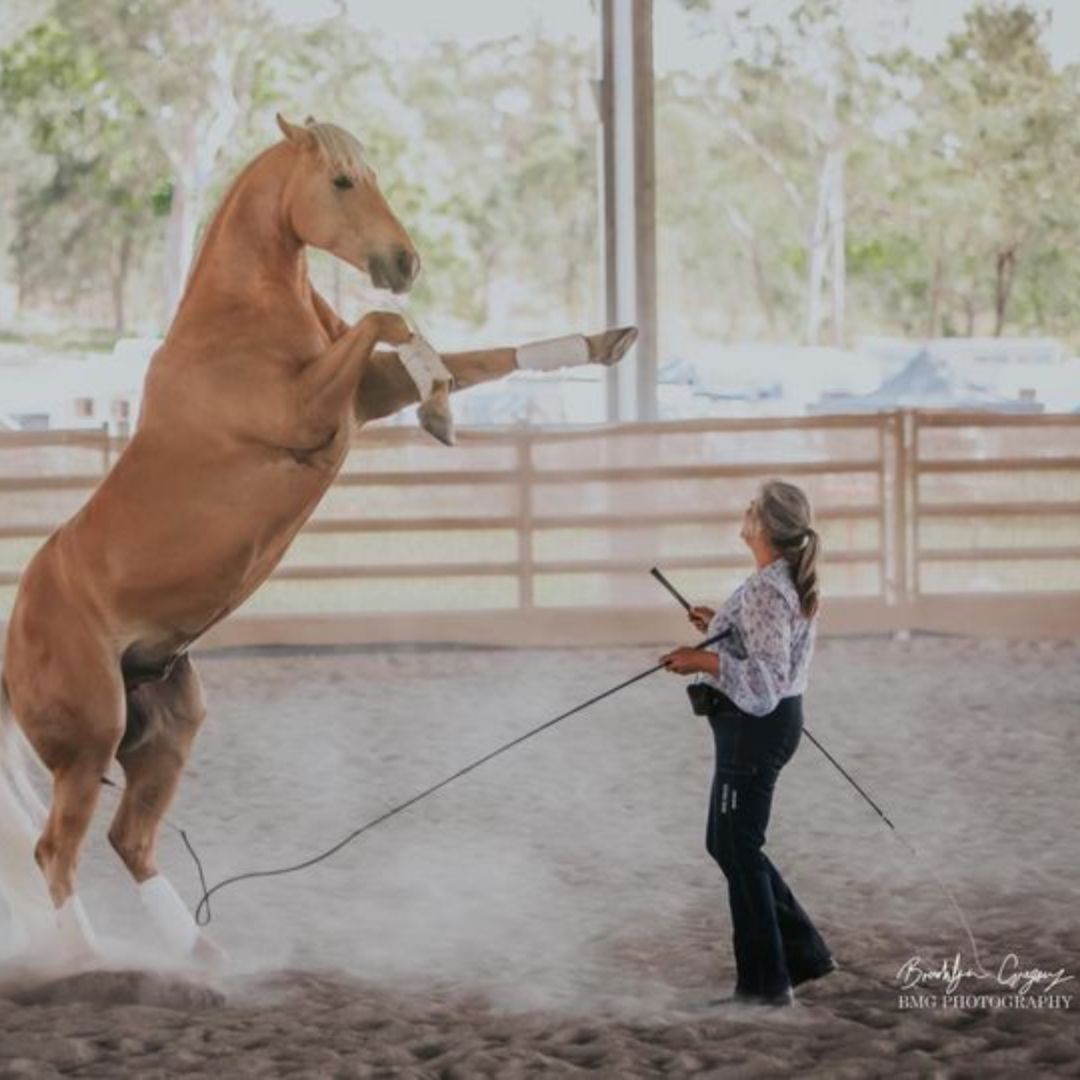 woman in ride proud show ring jeans