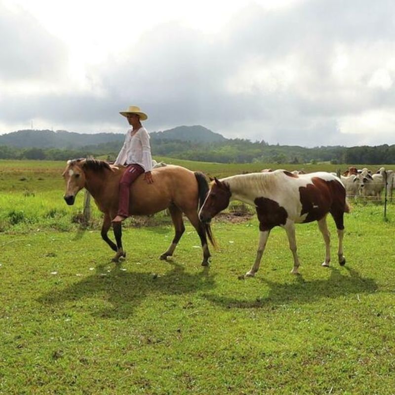 woman in ride proud pants limited edition burnt sienna