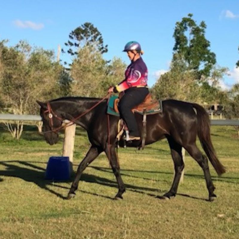 woman in ride proud clothing trail horse riding pants