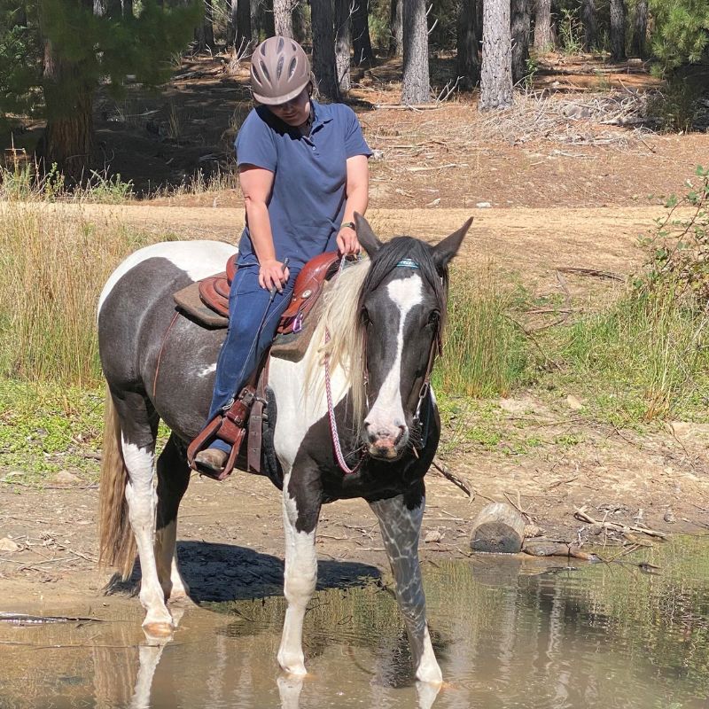 woman in ride proud horse riding horizon jeans