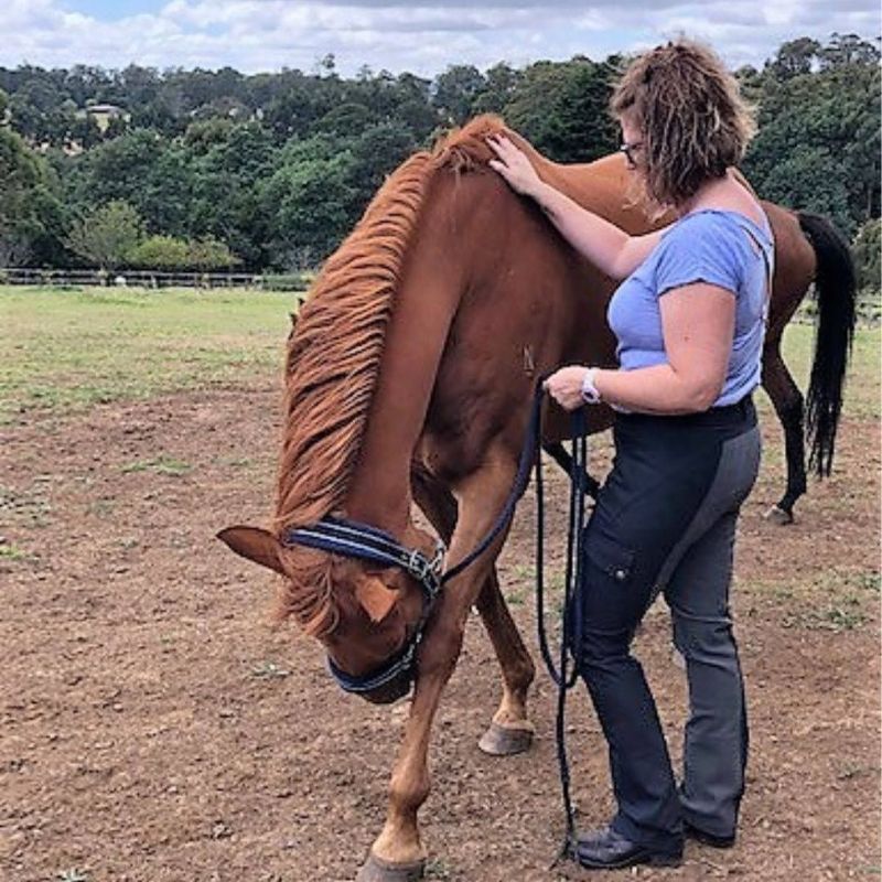 woman in ride proud trainers pants