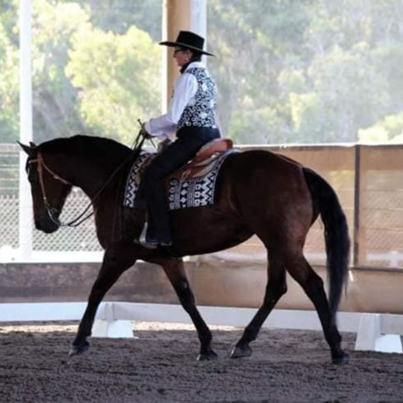 woman in black hat riding a horse in an arena