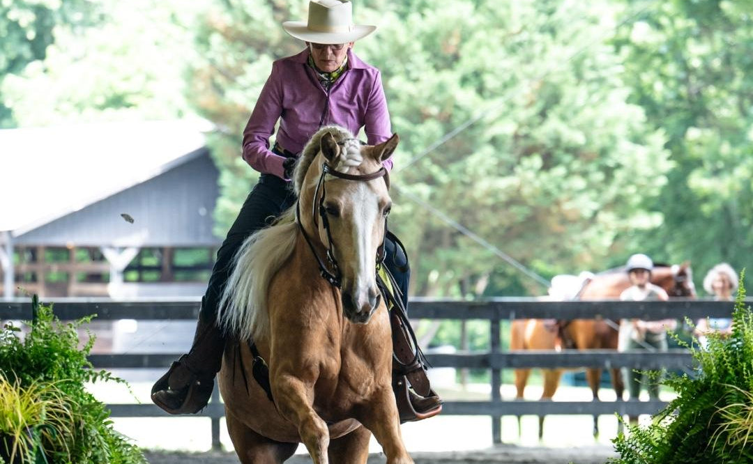 Person riding a horse with another person and horses in the background
