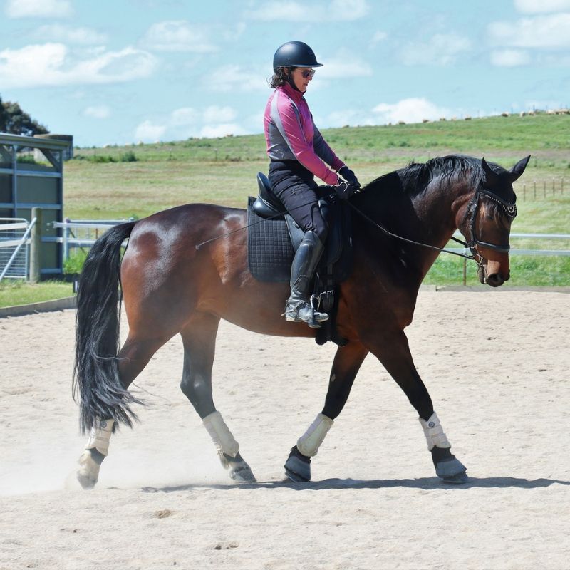 woman in ride proud horse riding bootleg pants