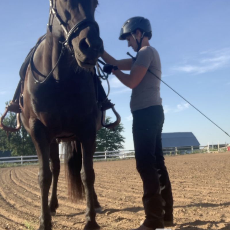 woman standing with horse on the side