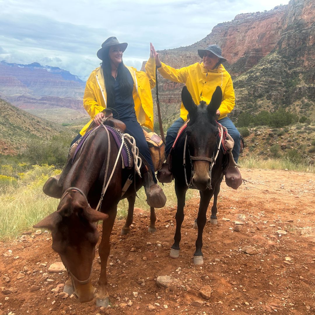 women in ride proud horse riding pants in horizon