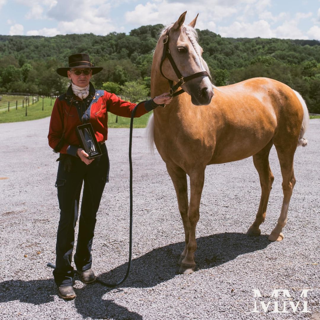 woman with a horse in ride proud horse riding jeans horizon