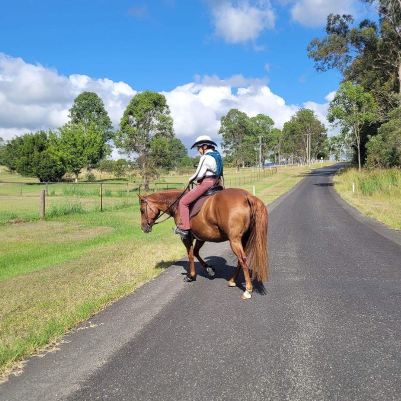 woman in ride proud limited edition horse riding bootleg pants