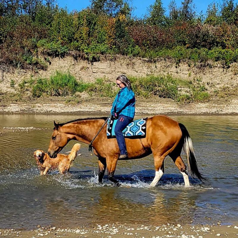 woman in ride proud horse riding pants limited edition