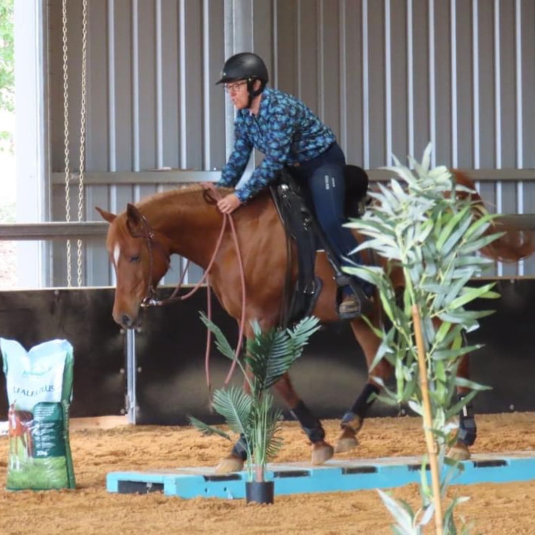 woman in ride proud clothing show ring horse riding jeans