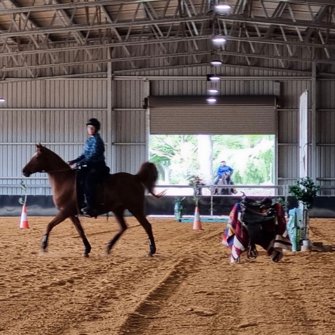 woman in ride proud show ring horse riding jeans