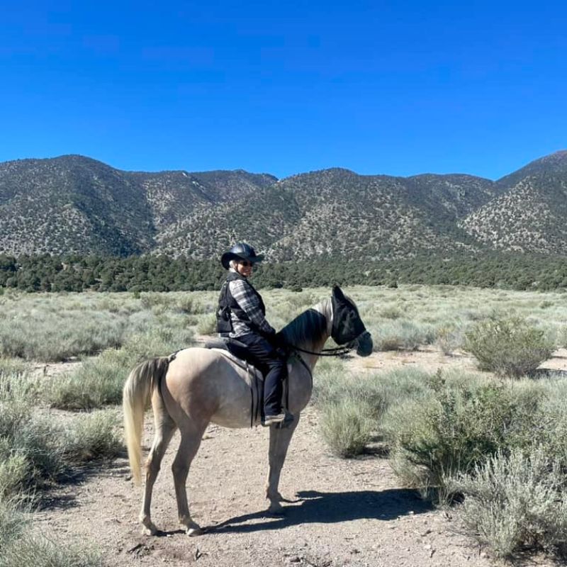 woman in ride proud horse riding pants in trail