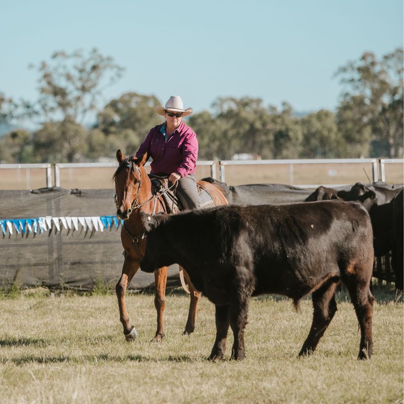 woman in ride proud trail horse riding bootleg pants