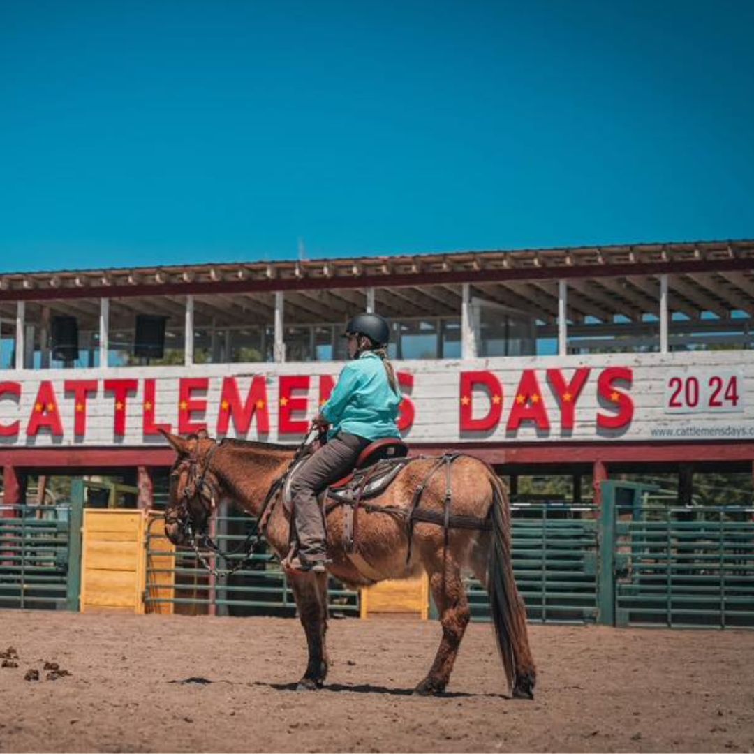 woman riding a horse wearing a ride proud new horizon jeans