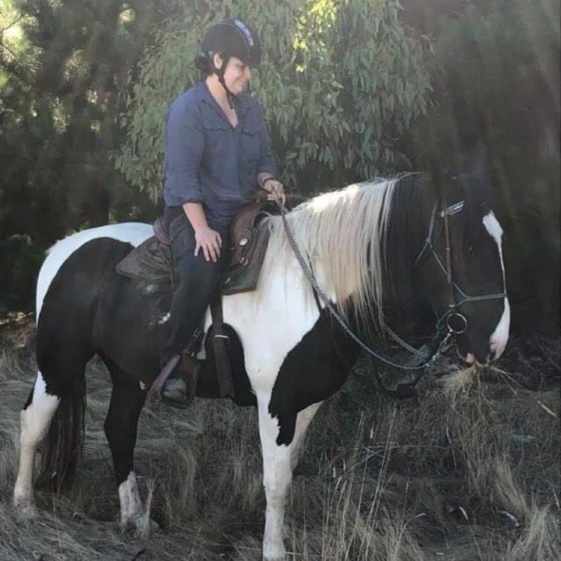 woman in ride proud horse riding pants trail