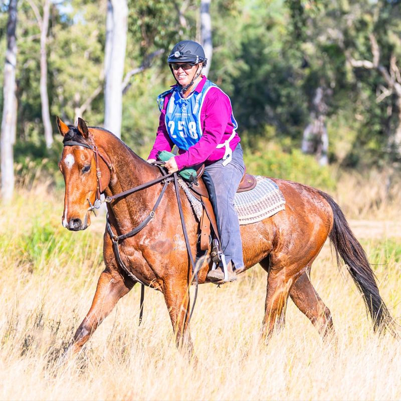 woman in ride proud trail horse riding bootleg pants