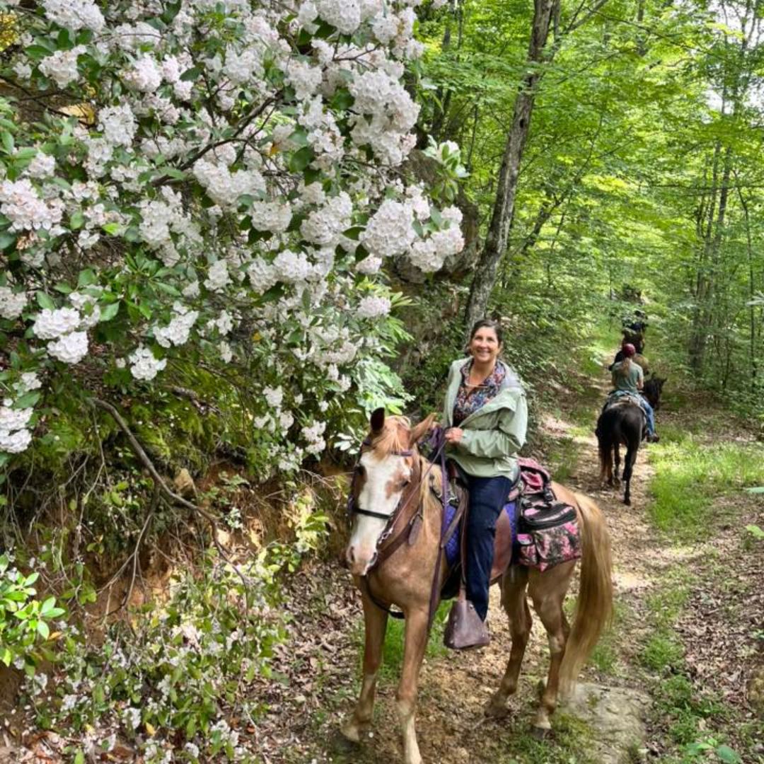 woman riding a horse wearing horse riding pants trainers and horse riding shirt kaleidoscope
