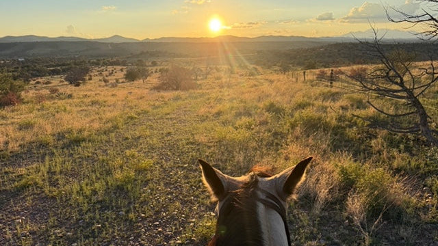 Horse looking towards a sunset over a landscape with mountains.