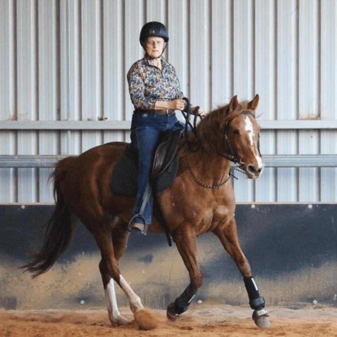 A woman riding a brown horse in an indoor arena wearing riding shirt and jeans from Ride Proud Clothing