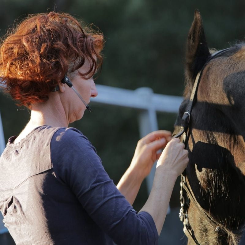 Jannie Smit, Horse Trainer with Horse