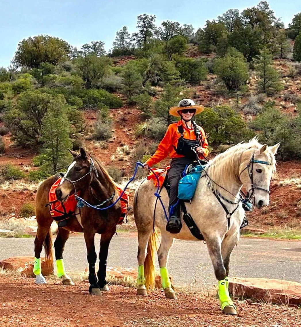 woman with two horses in horse riding pants