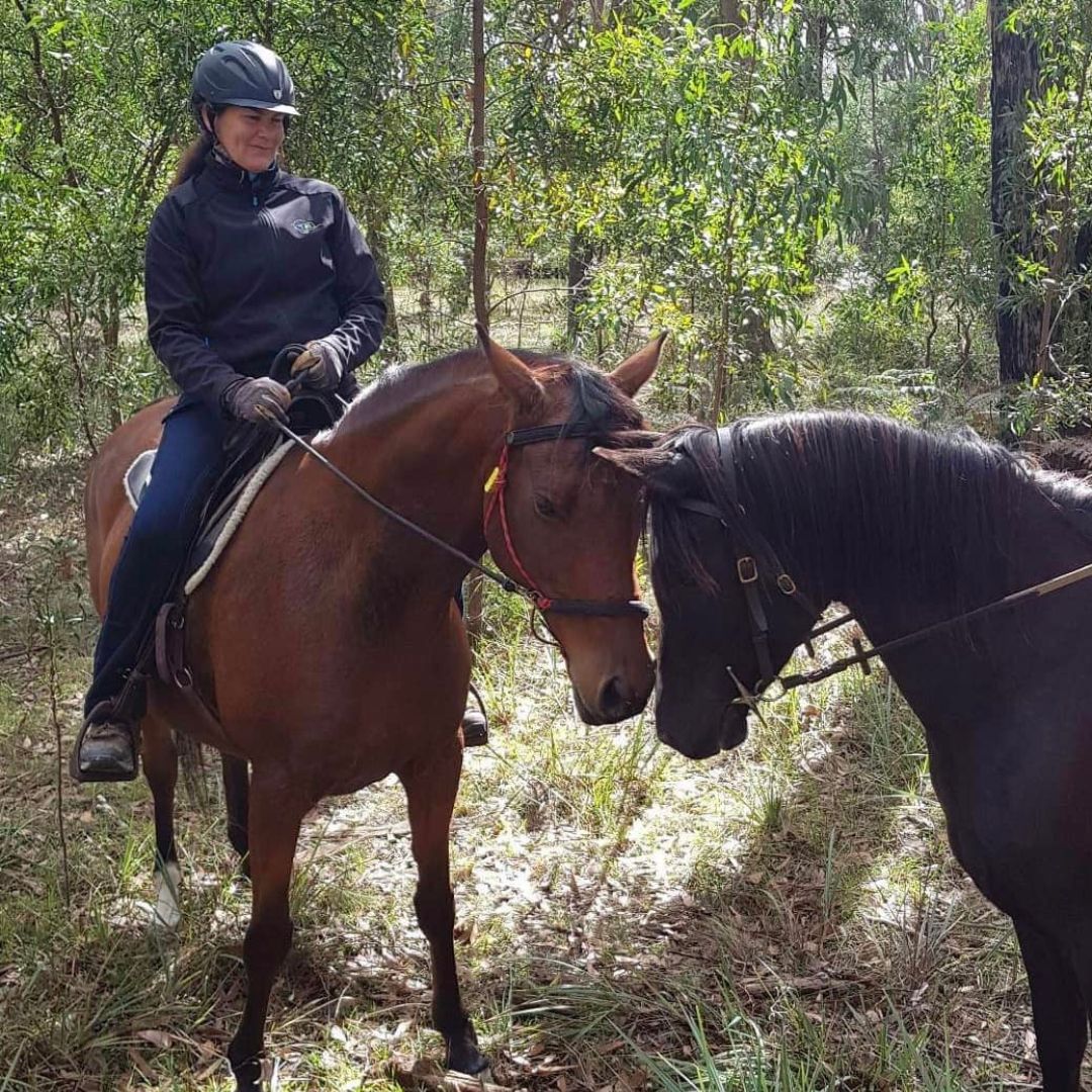 woman in ride proud stable horizon horse riding jeans
