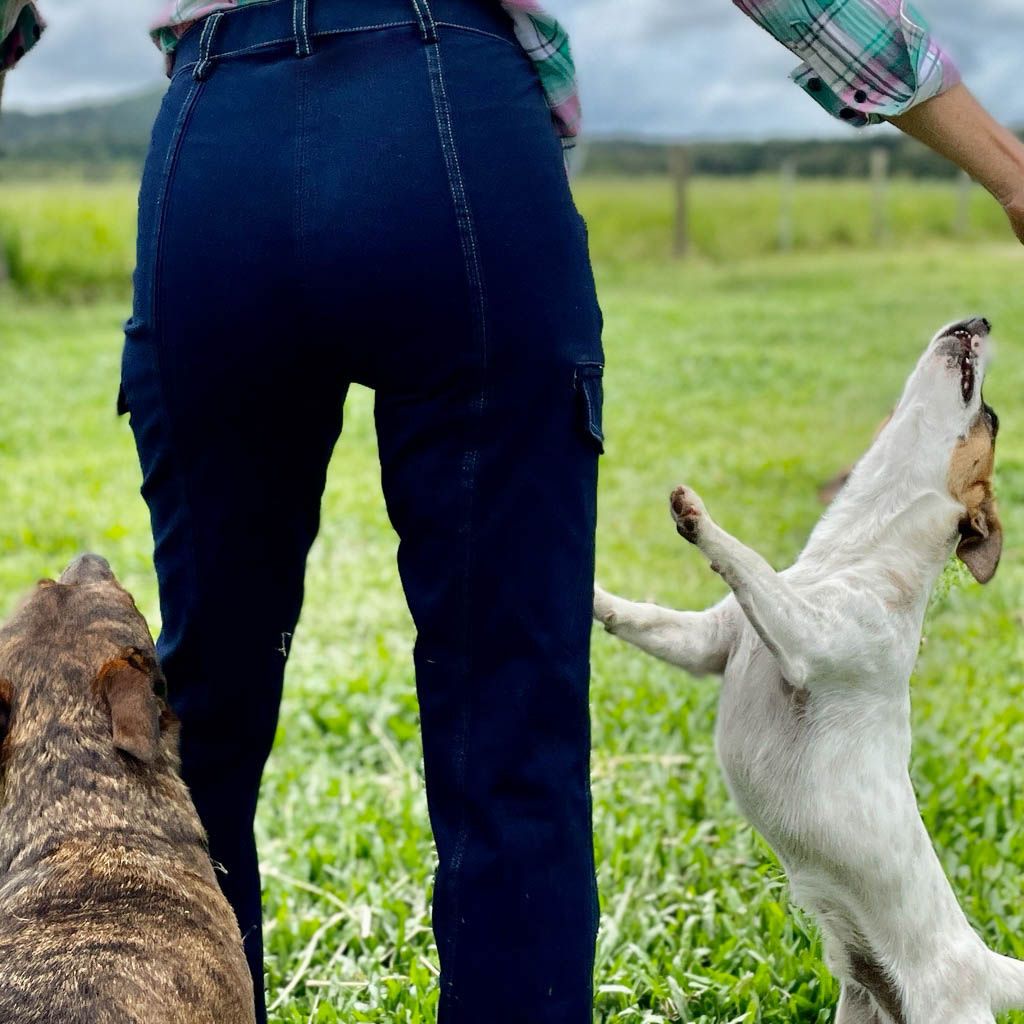 Woman with dogs Wearing Ride Proud Clothing's Horizons  Horse Riding Jeans without suede