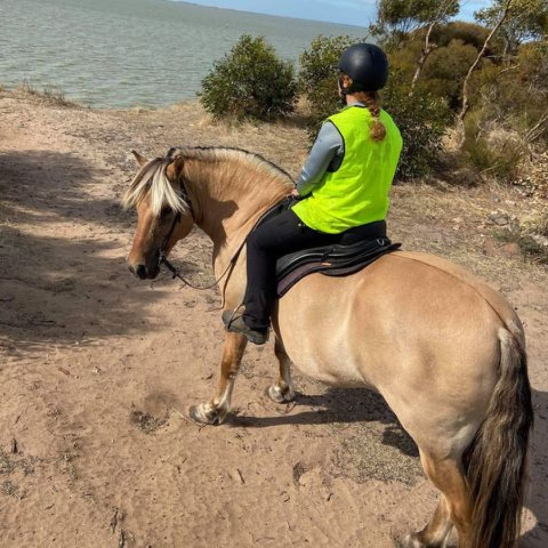 woman back shot wearing Trainers Horse Riding Pants