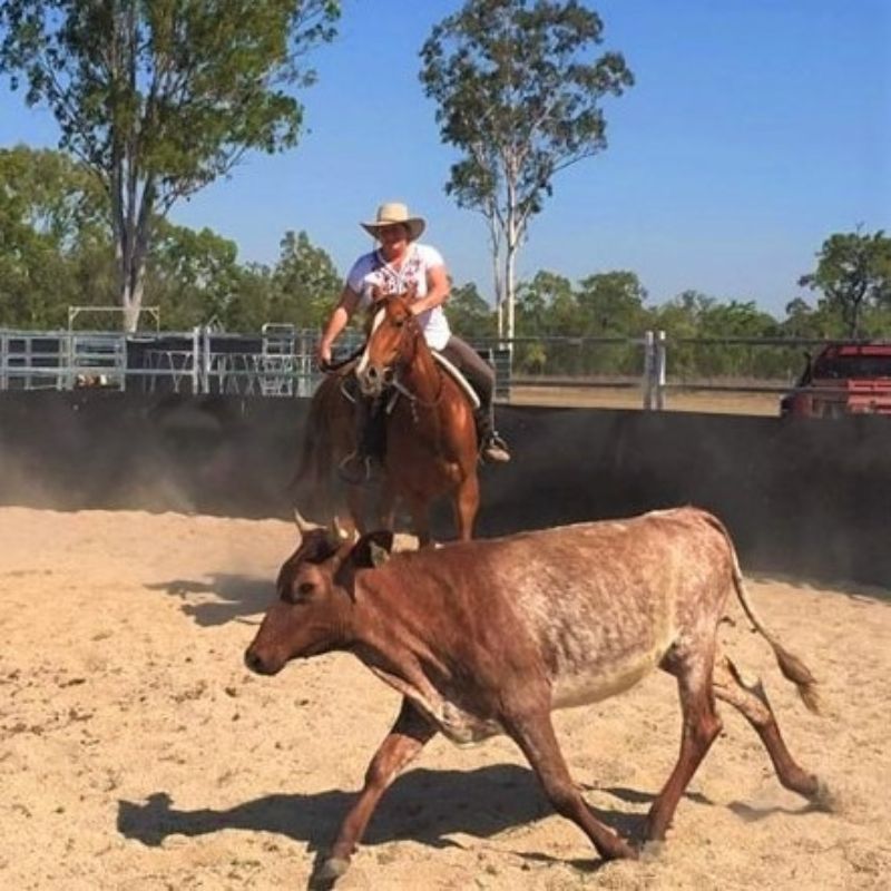woman riding a horse chasing a cow