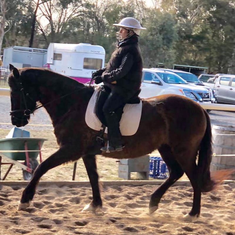 woman riding a brown 