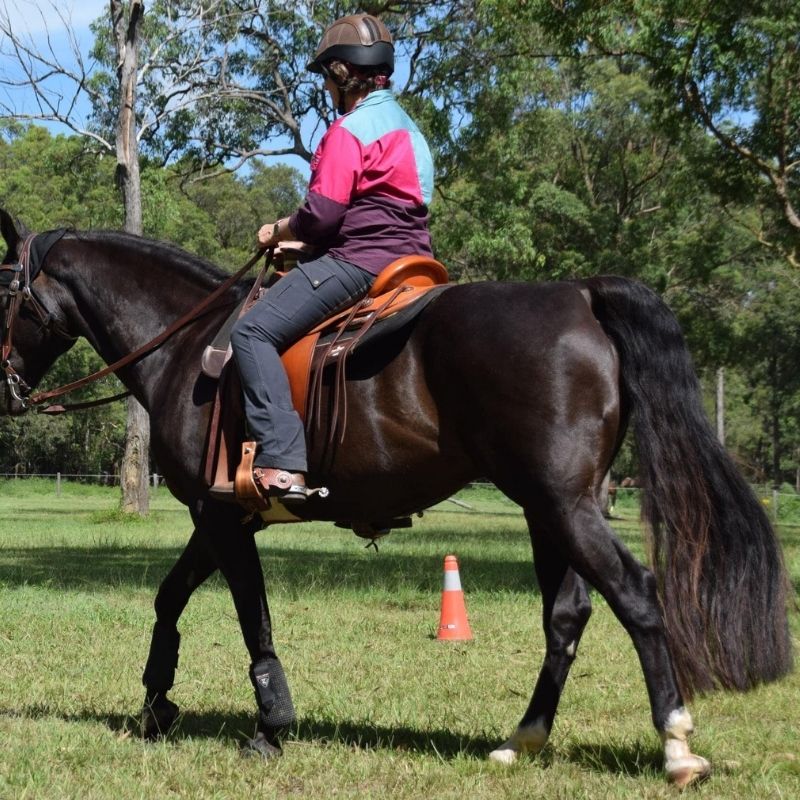 woman in ride proud bootleg horse riding pants