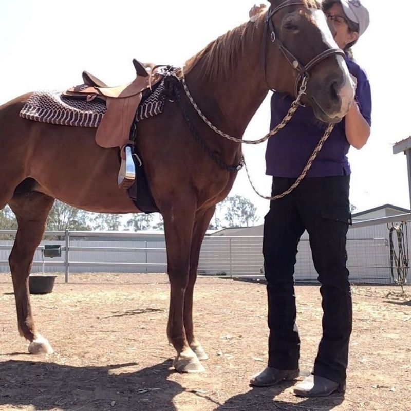 woman in Trainers Horse Riding Pants and Purple Top shirt
