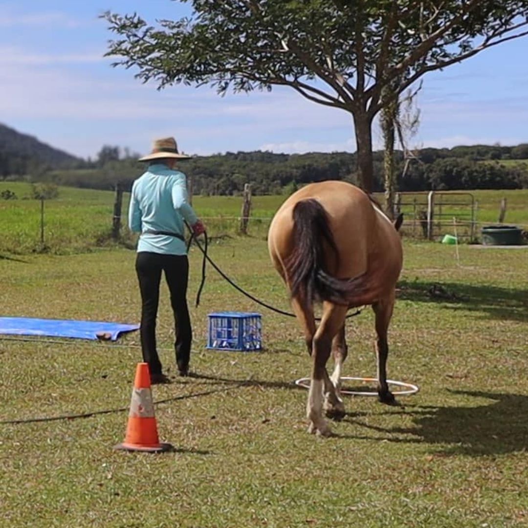 woman in compass bootcut tights in black