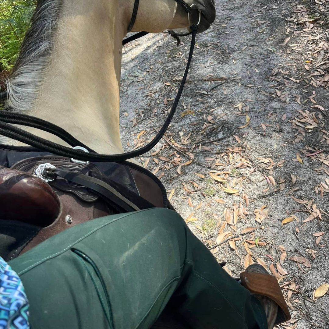 woman in compass bootcut tights in green close up