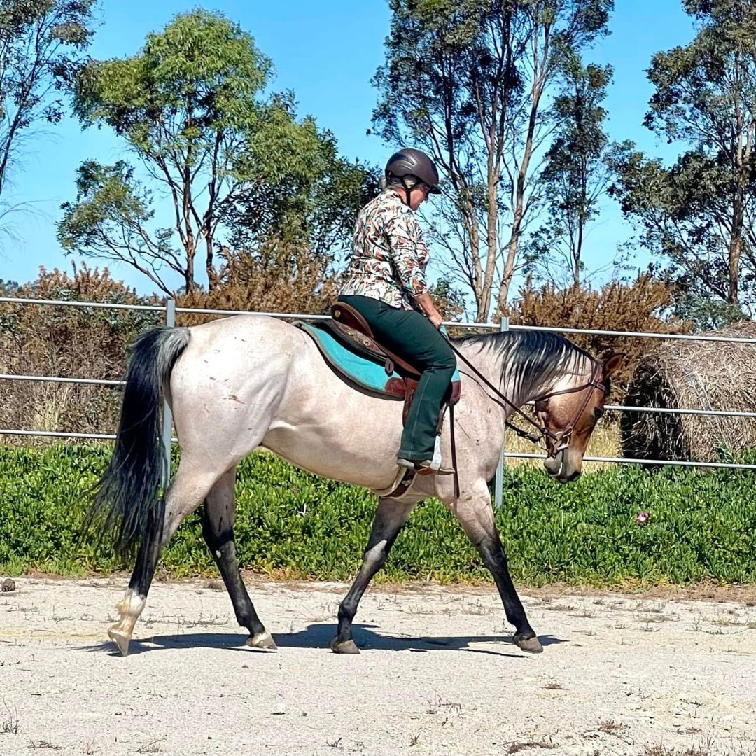 woman in compass bootcut tights in Green 