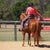 woman in equitation in trail