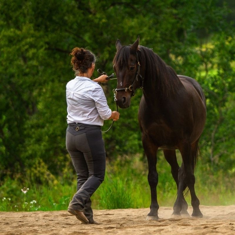 woman in equitation preparing to ride
