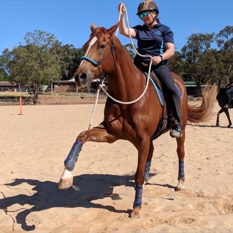 woman in equitation riding in action