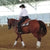 woman in equitation riding in her horse